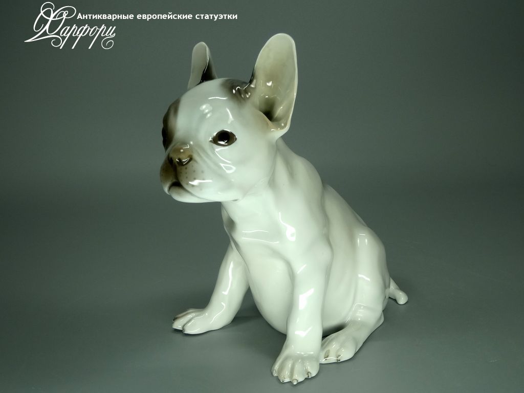 Купить фарфоровые статуэтки Rosenthal, Щенок французского бульдога, Германия